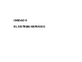 Unidad 9 Sistema Nervioso