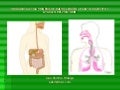 Biología unidad didáctica