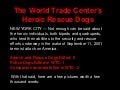 Unsung Heroes of 911