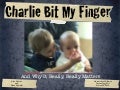 Charlie Bit My Finger and Why it Really, Really Matters