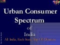 Indicus Consumer Spectrum - District Level