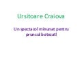 Ursitoare Craiova 