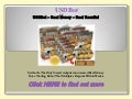 Usdbot - The Usdbot