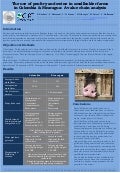 Poster13: The use of poultry and swine in smallholder farms in Colombia & Nicaragua: A value chain analysis 