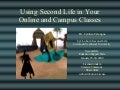 Using Second Life in Your Online and Campus Classes