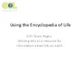 Using EOL: Taxon Pages