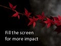 Using images in presentations