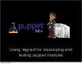 Using vagrant for developing and testing puppet modules