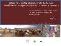 Utilizing livestock biodiversity to secure livelihoods: Indigenous sheep in pastoral systems