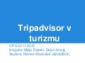 Utis  tripadvisor
