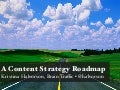 A Content Strategy Roadmap