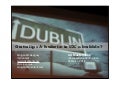 On tulips & hubris: is UX a bubble?