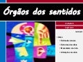 V.1 órgãos dos sentidos.