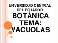 Vacuolas