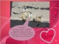 Valentine's day