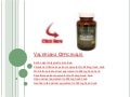 Valerian - Valeriana Officinalis