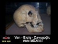Van Can Akin