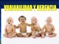 Variabilidad y herencia
