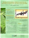 Poster28: Variation in carotenoids content in roots from the same plant and plants from the same cassava genotype