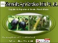 vegetable seeds by Sharmistha Agri Genetics India Private Limited Hyderabad 
