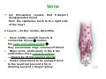 Venous Disorders
