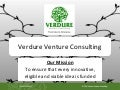 Verdure venture consulting v1.1 final