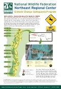 Vermont Critical Paths Project - Providing Safe Corridors for Wildlife