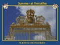 Versailles ( gardens & fountains)