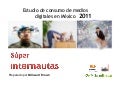 Segmento Súper Internautas