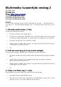 Template Tussentijds Verslag 2 Multimedia 2011-2012