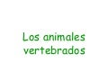 VERTEBRADOS