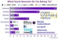VFRI 2010 Social Network Poll