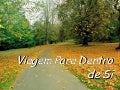 Viagem para dentro de sí