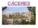 Via plata caceres_ingles_program_arce