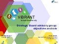 ViBRANT Strategic board