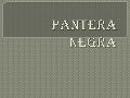 pantera