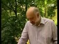 Ganoderma lucidum (pecsétviaszgomba) Magyar Tv2