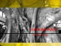 NAME | Art Space - Vietnam Root