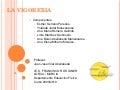 Vigorexia