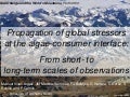 Propagation of global stressors at the algae-consumer interface: From short- to long-term scales of observations [Manuel Villar-Argaiz]