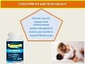 Virectin reviews