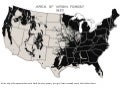 Virgin Forests Cover in the U.S.