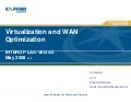 Virtualization and WAN Optimization