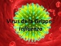 exposé: vireus de la grippe