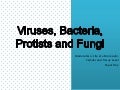 Viruses, bacteria, protists and fungi