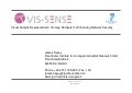 Vis sense cluster meeting