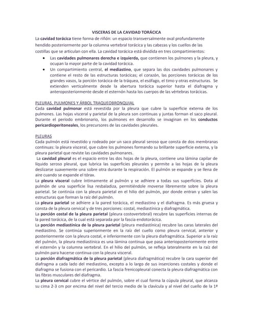 Visceras  Abdominales