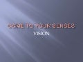 Vision 090505113755 Phpapp02