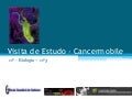 Visita de estudo   cancermobile