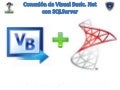 Visual y sql